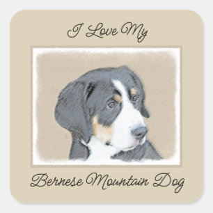 Bernese Mountain Dog Painting - Original Dog Art Square Sticker