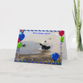 Bernese Mountain Dog Party Card