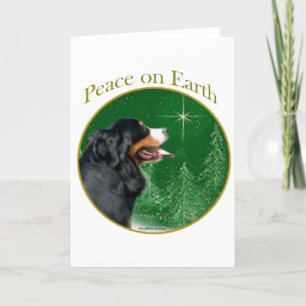 Bernese Mountain Dog Peace Holiday Card