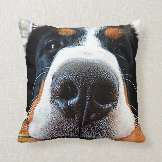 Bernese Mountain Dog Pillow