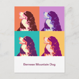 Bernese Mountain Dog Pop Art Postcard