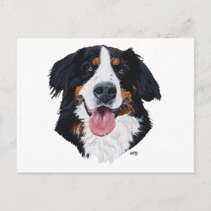 Bernese Mountain Dog Postcard
