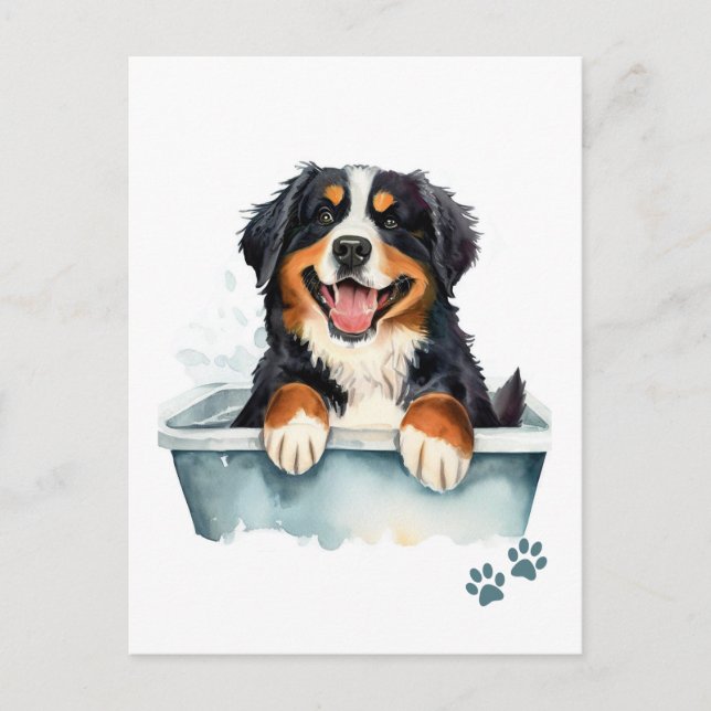 Bernese Mountain Dog Postcard (Front)