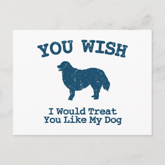 Bernese Mountain Dog Postcard (Front)