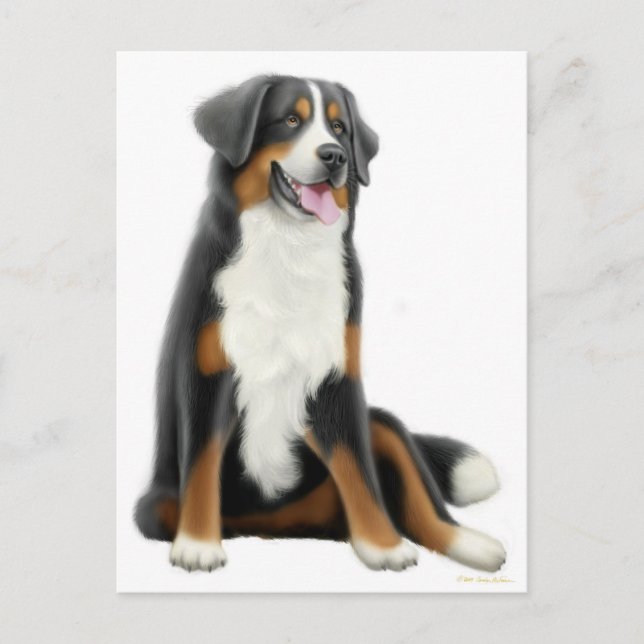 Bernese Mountain Dog Postcard (Front)