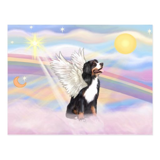 Bernese Mountain Dog Postcards - Zazzle.com.au