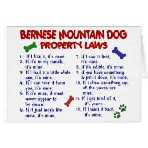 BERNESE MOUNTAIN DOG Property Laws 2