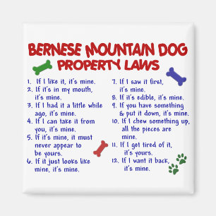 BERNESE MOUNTAIN DOG Property Laws 2 Magnet