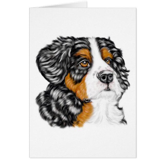 Bernese Mountain Dog Pup (Front)