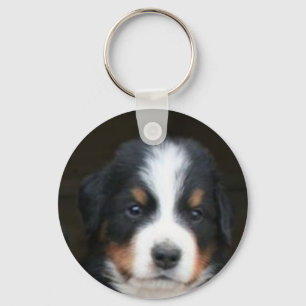 Bernese mountain dog pup keychain