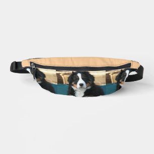 bernese mountain dog puppy bum bags