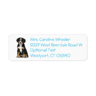Bernese Mountain Dog Puppy Dog Blue Return Address Label