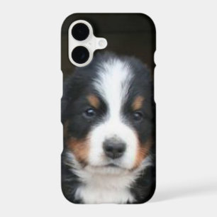 Bernese Mountain Dog Puppy iphone Xr Speck Case