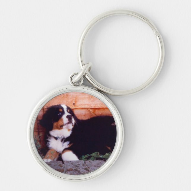 Bernese mountain dog puppy keychain (Front)