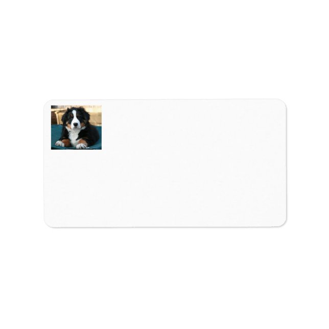 bernese mountain dog puppy label (Front)