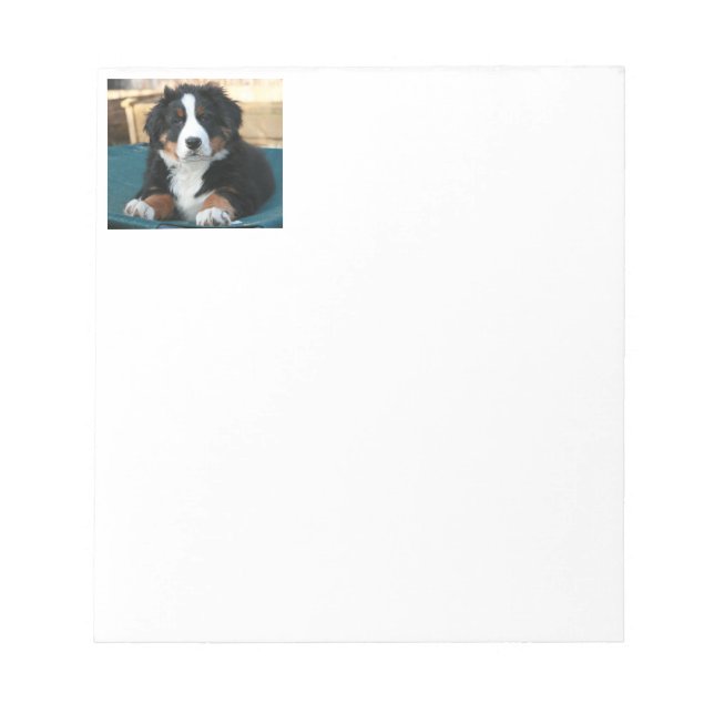 bernese mountain dog puppy notepad (Front)