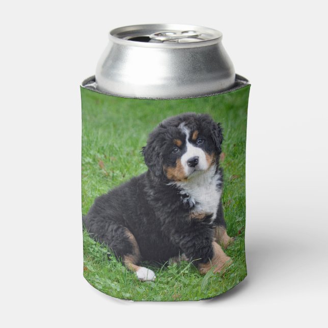 Bernese Mountain Dog Puppy Photo Can Cooler (Can Front)