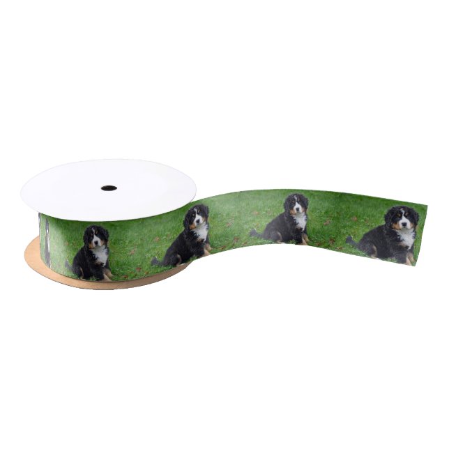 Bernese Mountain Dog Puppy Photo Satin Ribbon (Spool)