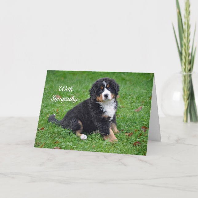 Bernese Mountain Dog Puppy Photo Sympathy Card (Front)