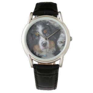 bernese mountain dog puppy second watch