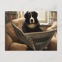 Bernese Mountain Dog Reading the Newspaper