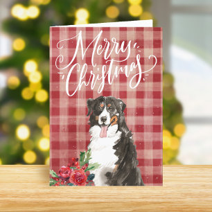 Bernese Mountain Dog Red Plaid Christmas Holiday Card