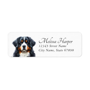 Bernese Mountain Dog Return Address Labels