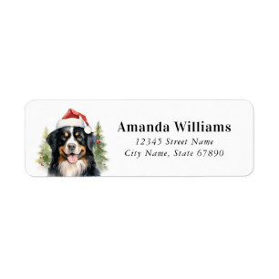 Bernese Mountain Dog Return Address Labels