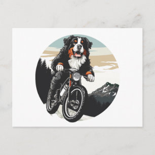 Bernese Mountain Dog Riding A Mountain Bike Postcard