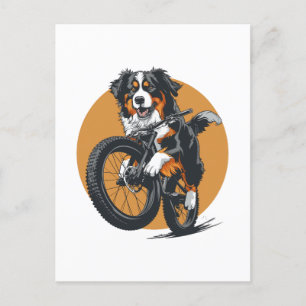 Bernese Mountain Dog Riding A Mountain Bike Postcard