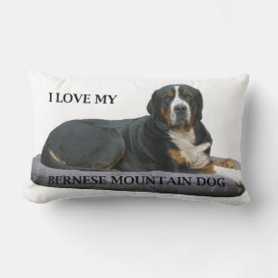 bernese mountain dog rust full laying love w pic.j lumbar cushion
