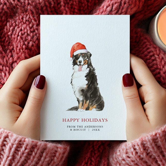 Bernese Mountain Dog Santa Hat Christmas Card (Bernese Mountain Dog Santa Hat Christmas Card)