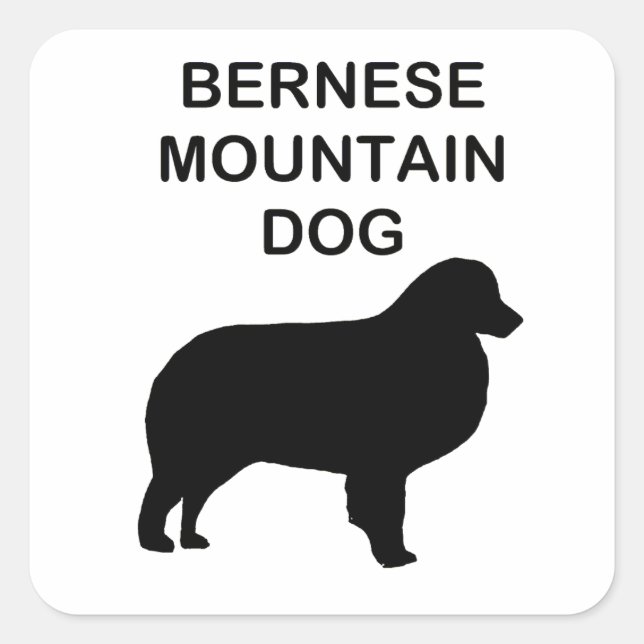 bernese mountain dog silhouette with name square sticker (Front)