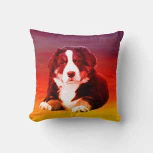 Bernese Mountain Dog Sitting on Beach Cushion
