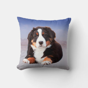 Bernese Mountain Dog Sitting on Beach Cushion