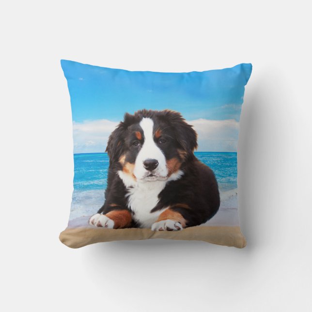 Bernese Mountain Dog Sitting on Beach Cushion (Front)