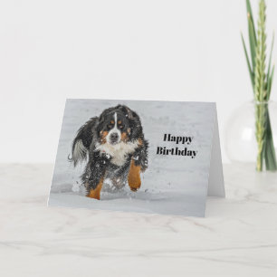 Bernese Mountain Dog Snow Photo Birthday Card
