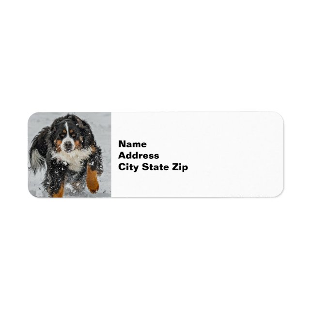 Bernese Mountain Dog Snow Photo Return Address Label (Front)