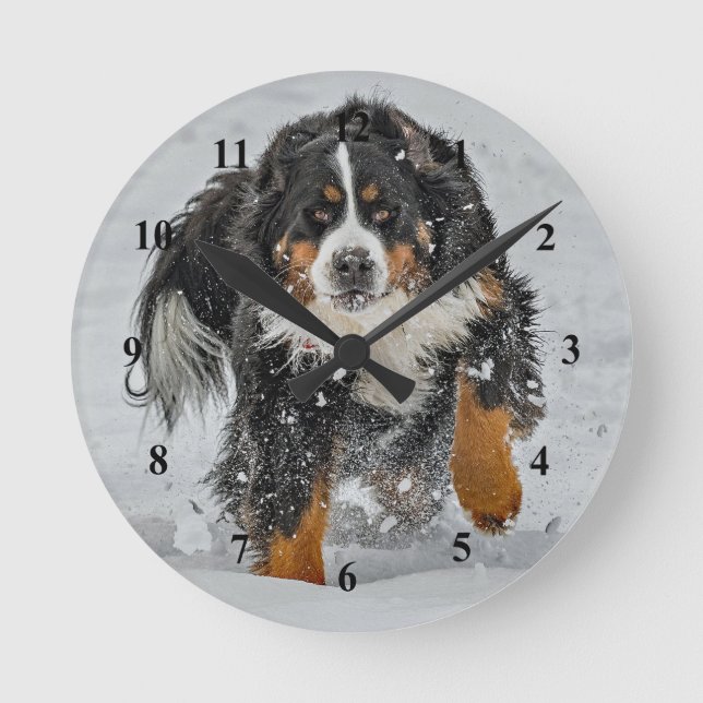 Bernese Mountain Dog Snow Photo Round Clock (Front)