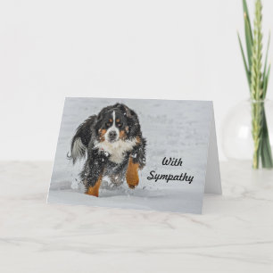 Bernese Mountain Dog Snow Photo Sympathy Card