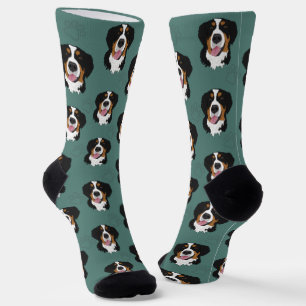 Bernese Mountain Dog Socks