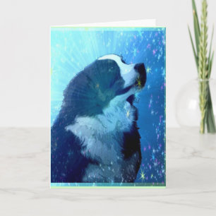 Bernese Mountain Dog star struck Greeting Card
