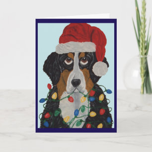  Bernese Mountain Dog Tangled In Christmas Lights  Card