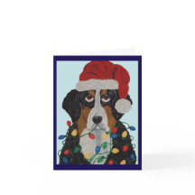 Bernese Mountain Dog Tangled In Christmas Lights