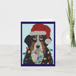 Bernese Mountain Dog Tangled In Christmas Lights Invitation