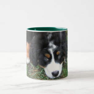 Bernese Mountain Dog Two-Tone Coffee Mug