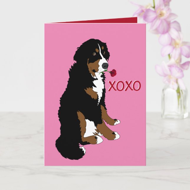 Bernese Mountain Dog Valentine’s Day  Card (Orchid)