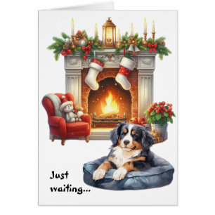 Bernese Mountain Dog Waiting for Christmas