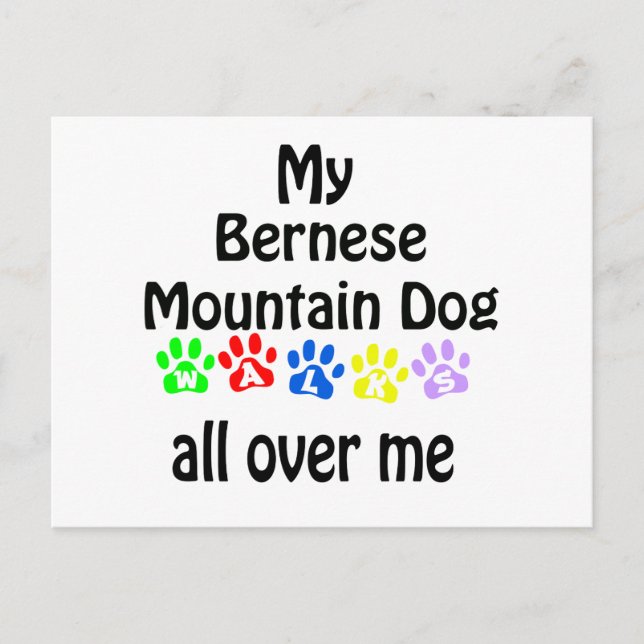 Bernese Mountain Dog Walks Design Postcard (Front)