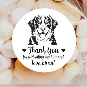 Bernese Mountain Dog Wedding Favour Stickers